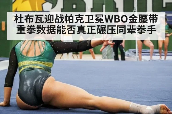 杜布瓦迎战帕克卫冕WBO金腰带 重拳数据能否真正碾压同辈拳手